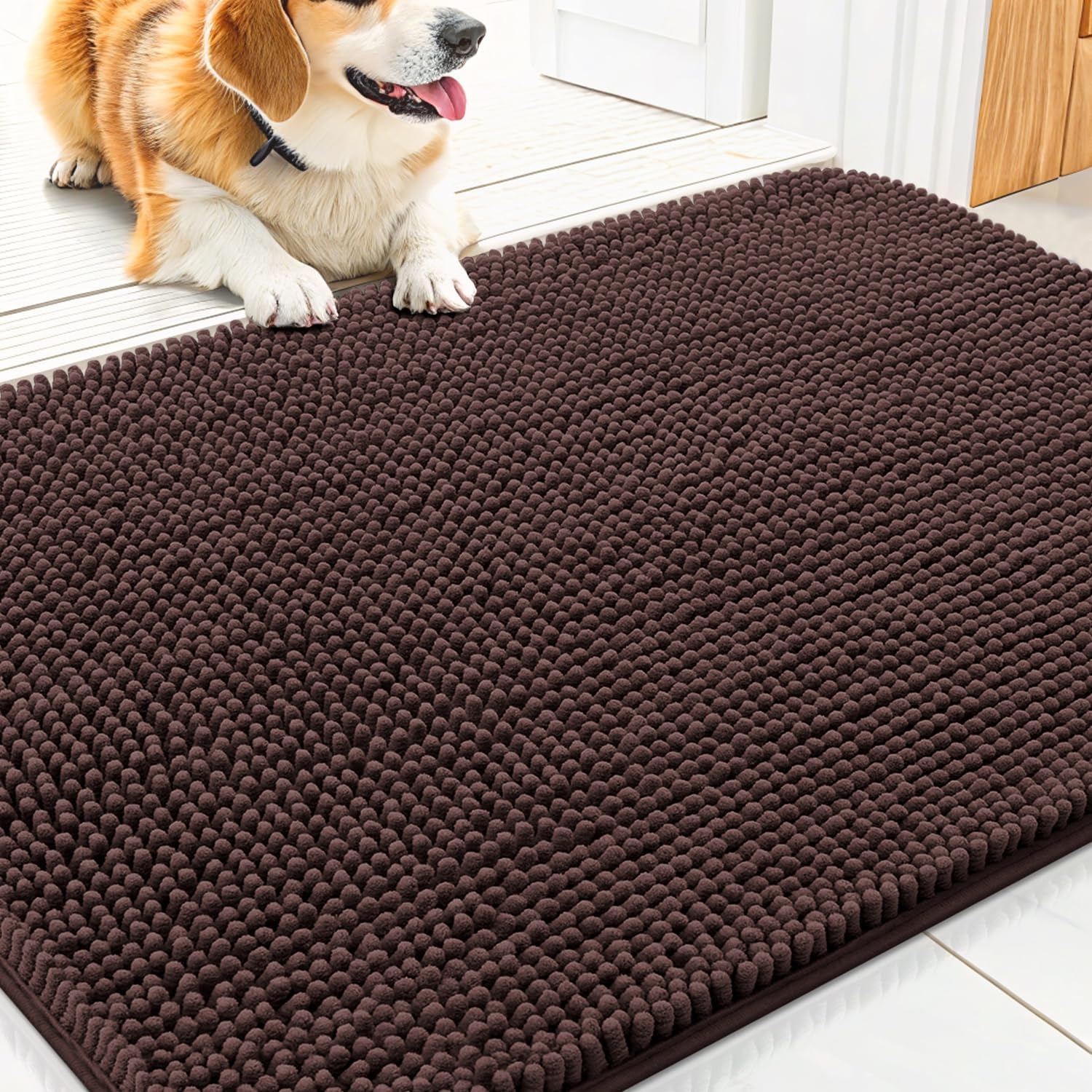 Chihuahua doormats 1
