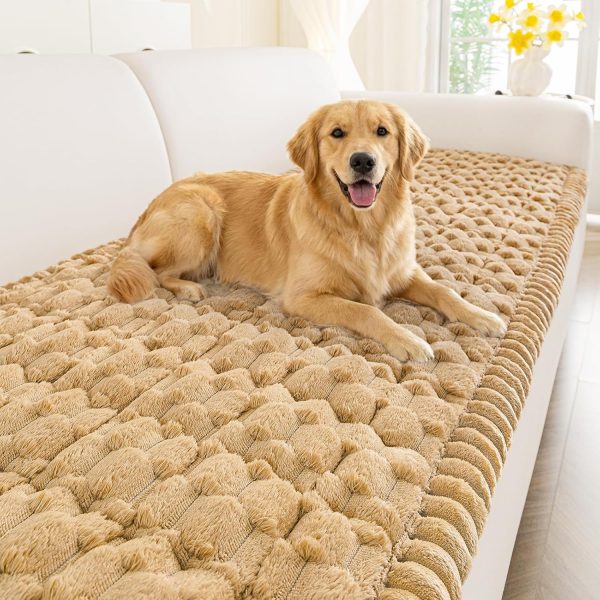6a1661e96d7ece5f7e6c087df3165195c5608f47ae70137cdfe16.jpg